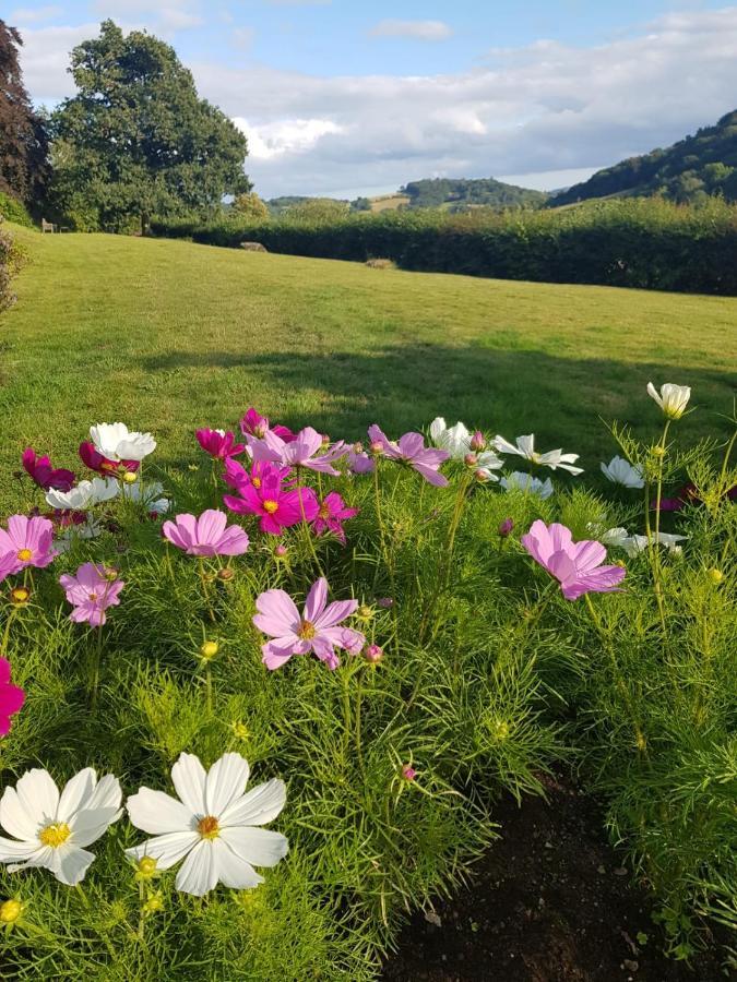 Eastwrey Barton Country House Lustleigh Екстер'єр фото